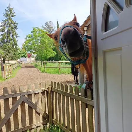 Ravissante Maisonnette Dom wakacyjny