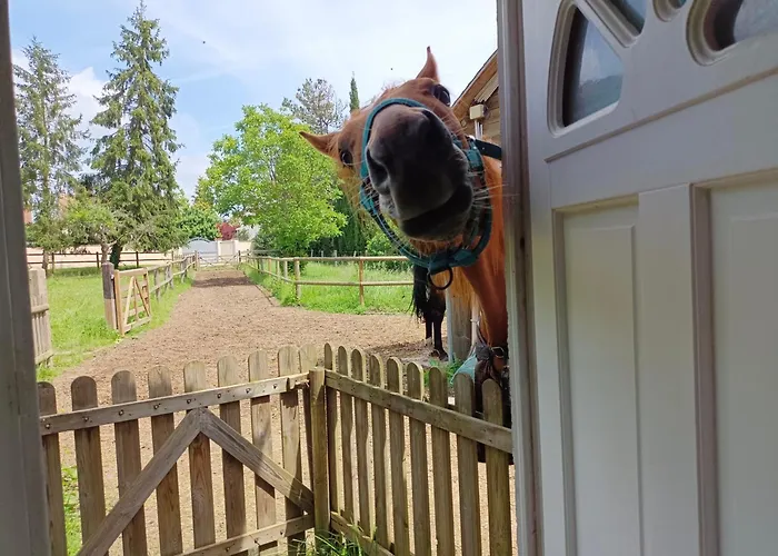 Ravissante Maisonnette 펜션